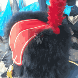 French Hussars colback hat busby hat