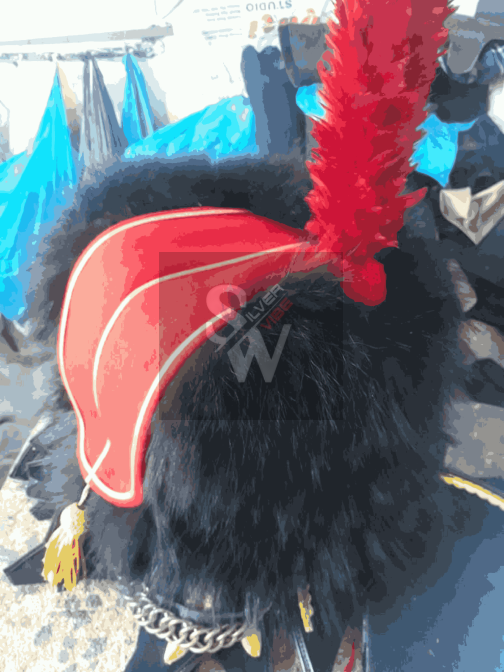 French Hussars colback hat busby hat - Image 2